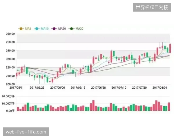 体育赛事运营已然进入单点现场调度协同效率决定存亡的存量竞争时代